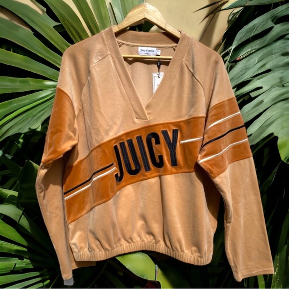 ⭐️HP NWT Juicy Couture Luxe Velour Raglan V Neck Sweater Beachwood Tan Large - Picture 2 of 12